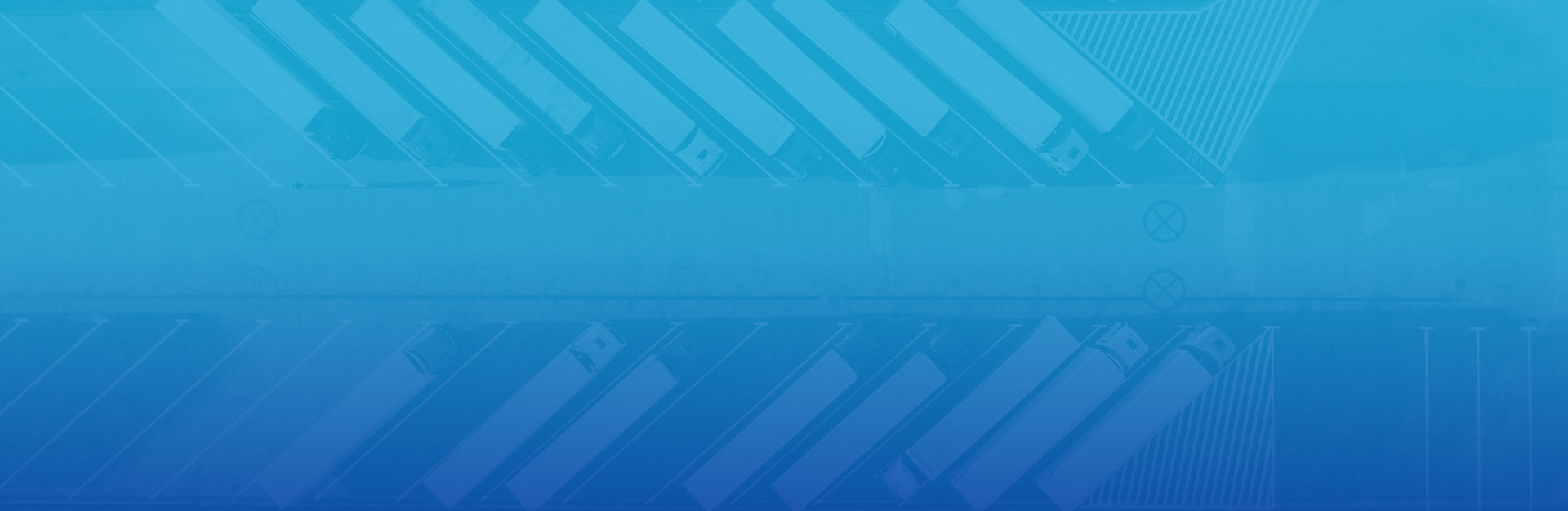 Logo de qualitydual